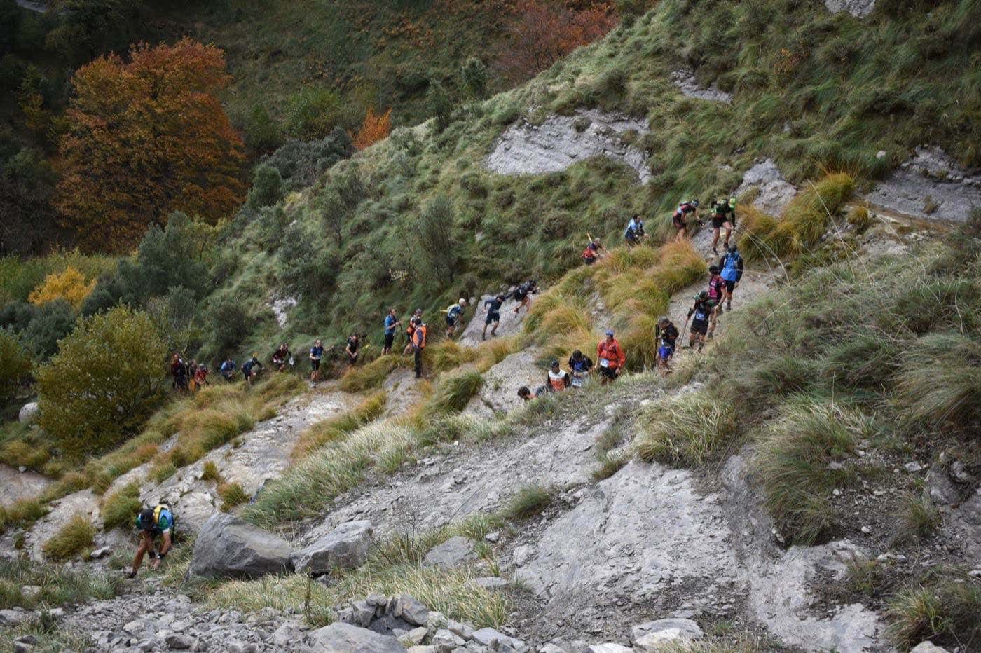 Trail 33km