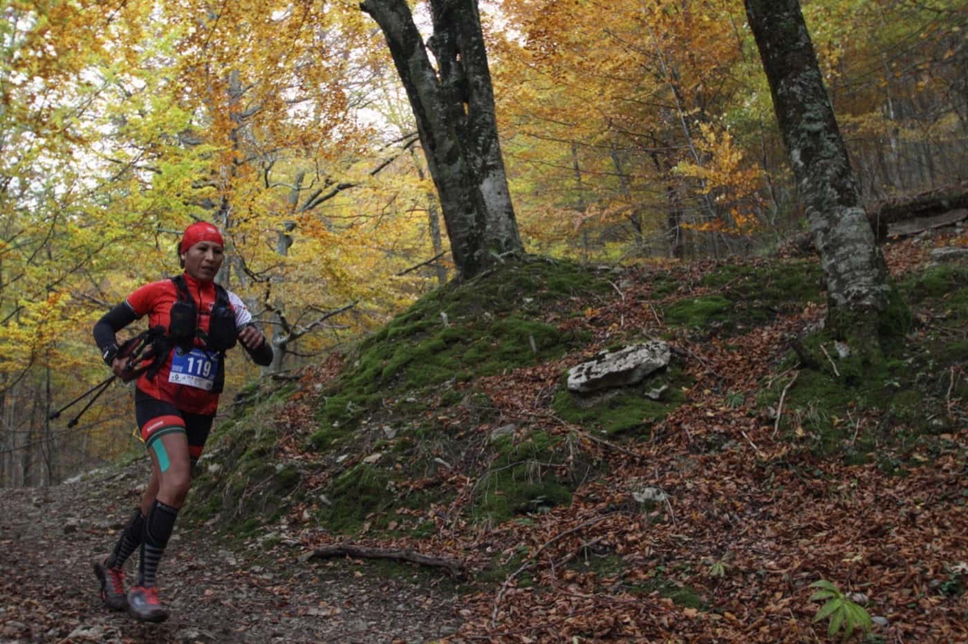 Herrikoia 14km